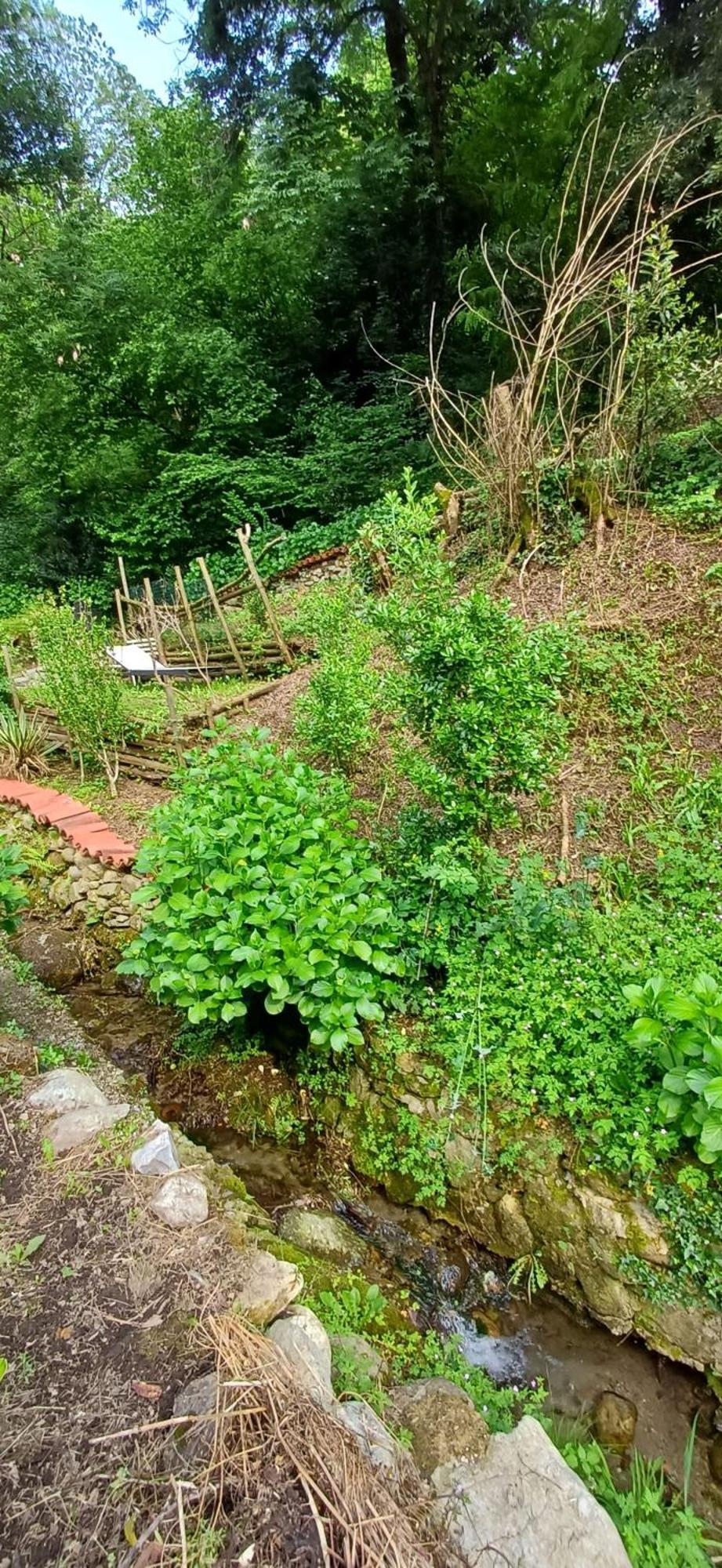 La Casetta Nel Verde Côme Extérieur photo