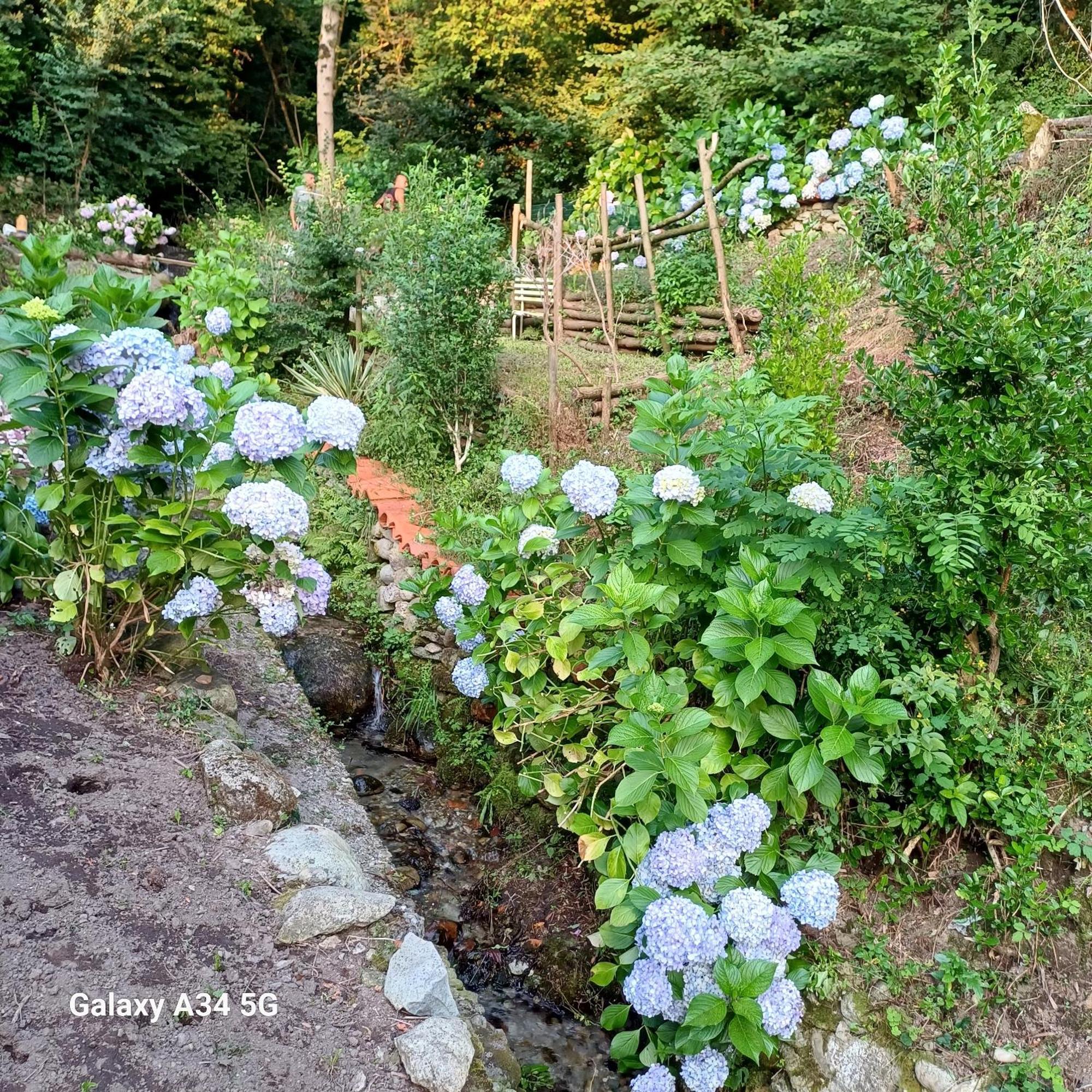 La Casetta Nel Verde Côme Extérieur photo